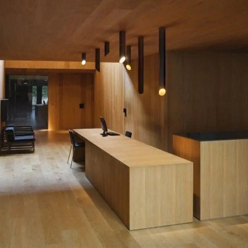 Black Cylindrical Ceiling Light