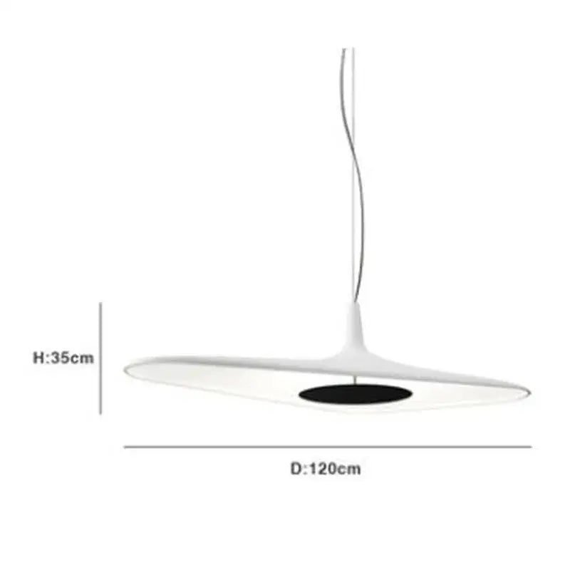 Black Irregular Pendant Light