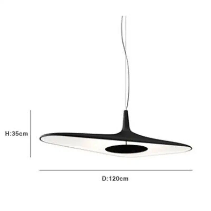 Black Irregular Pendant Light