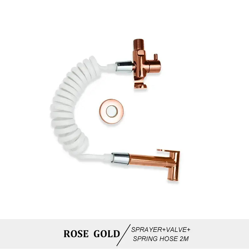 Brass Coiled Bidet Kit