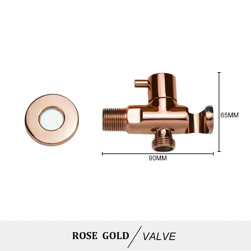 Brass Coiled Bidet Kit