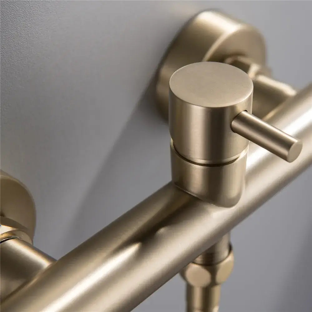 Brushed Brass Bidet Faucet