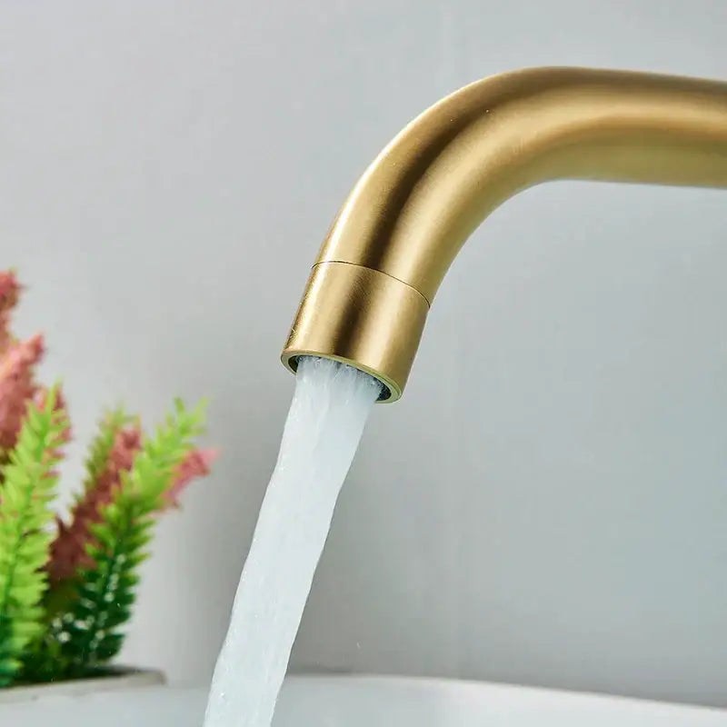 Gold Black Wall Faucet