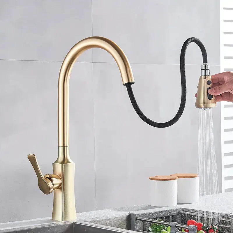 Gold Pull Out Faucet