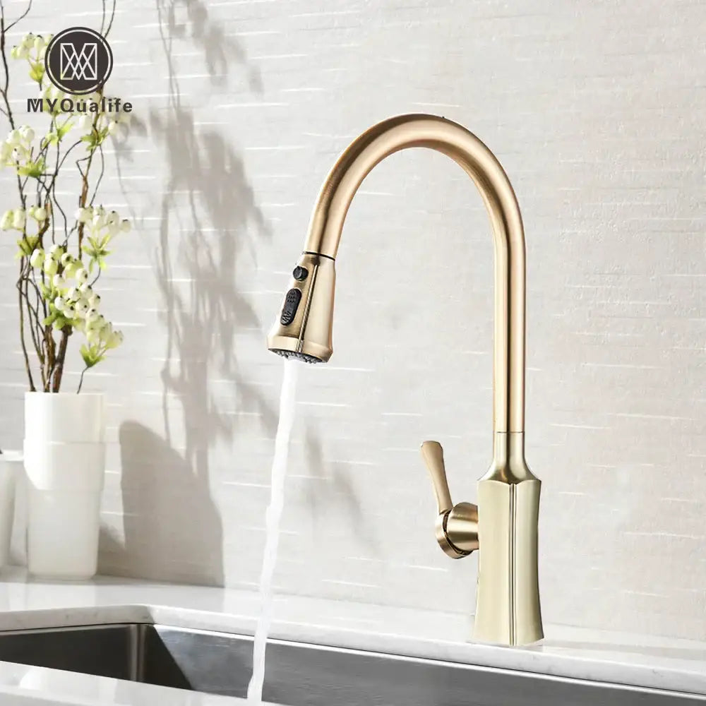 Gold Pull Out Faucet