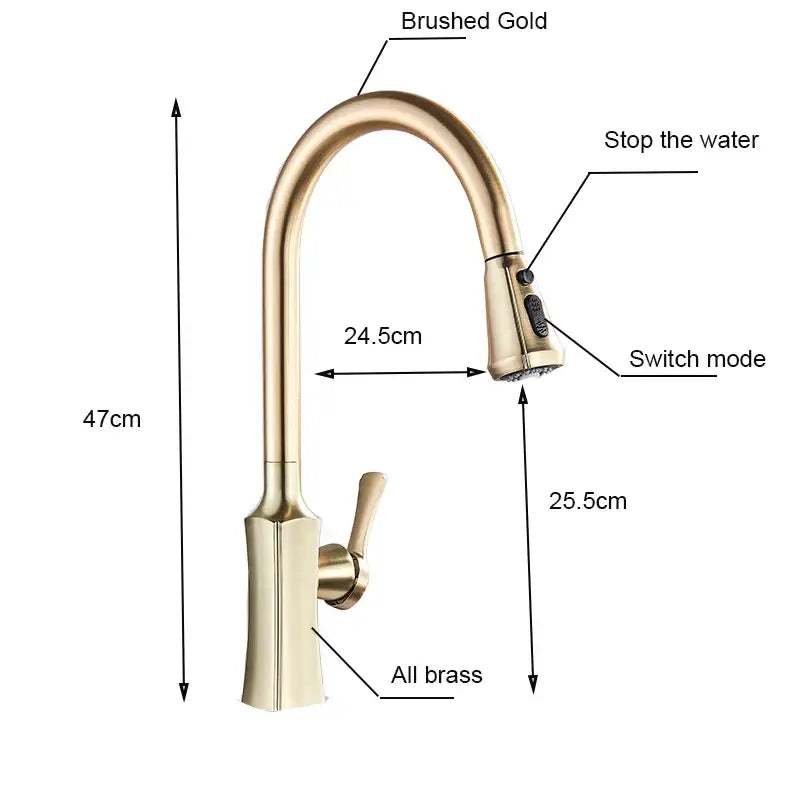 Gold Pull Out Faucet