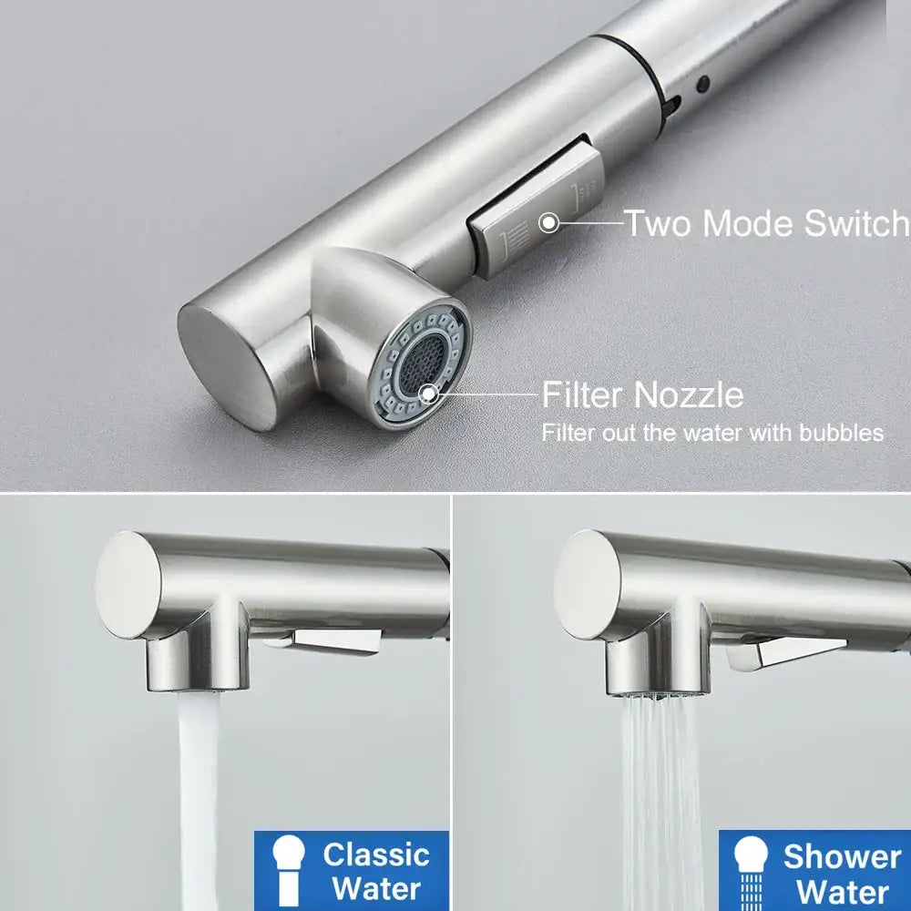 Nickel Dual Spray Faucet