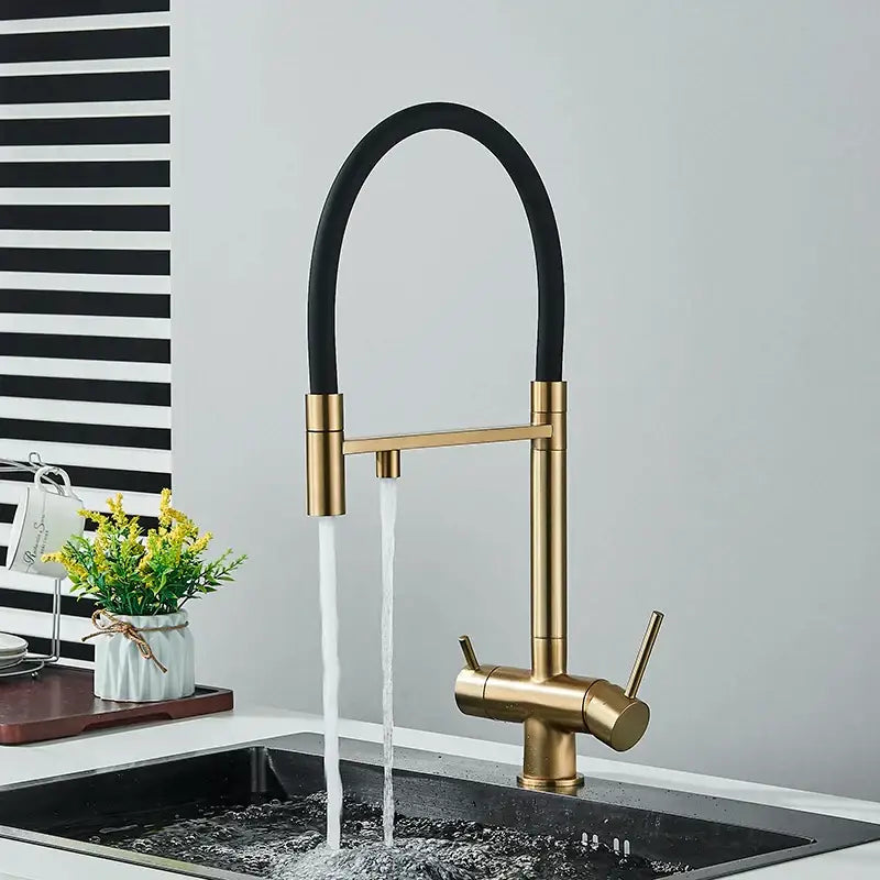 Chrome Black Dual Faucet