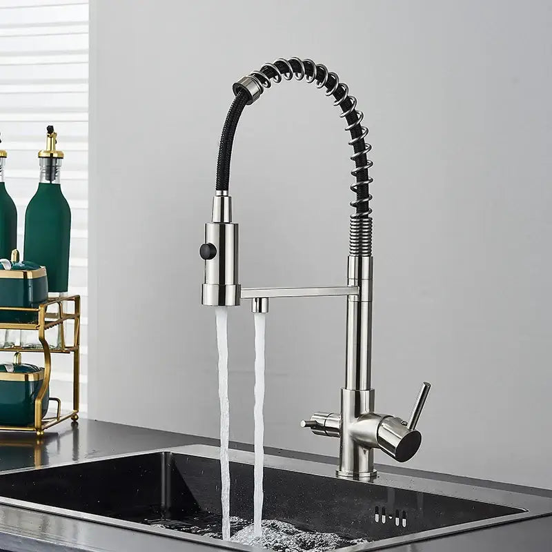 Chrome Black Dual Faucet
