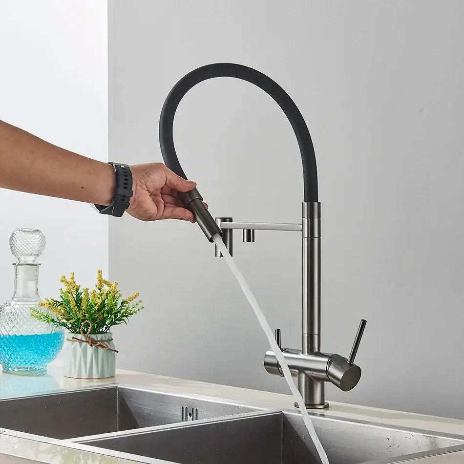 Chrome Black Dual Faucet