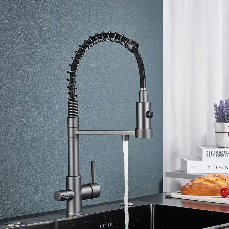 Chrome Black Dual Faucet