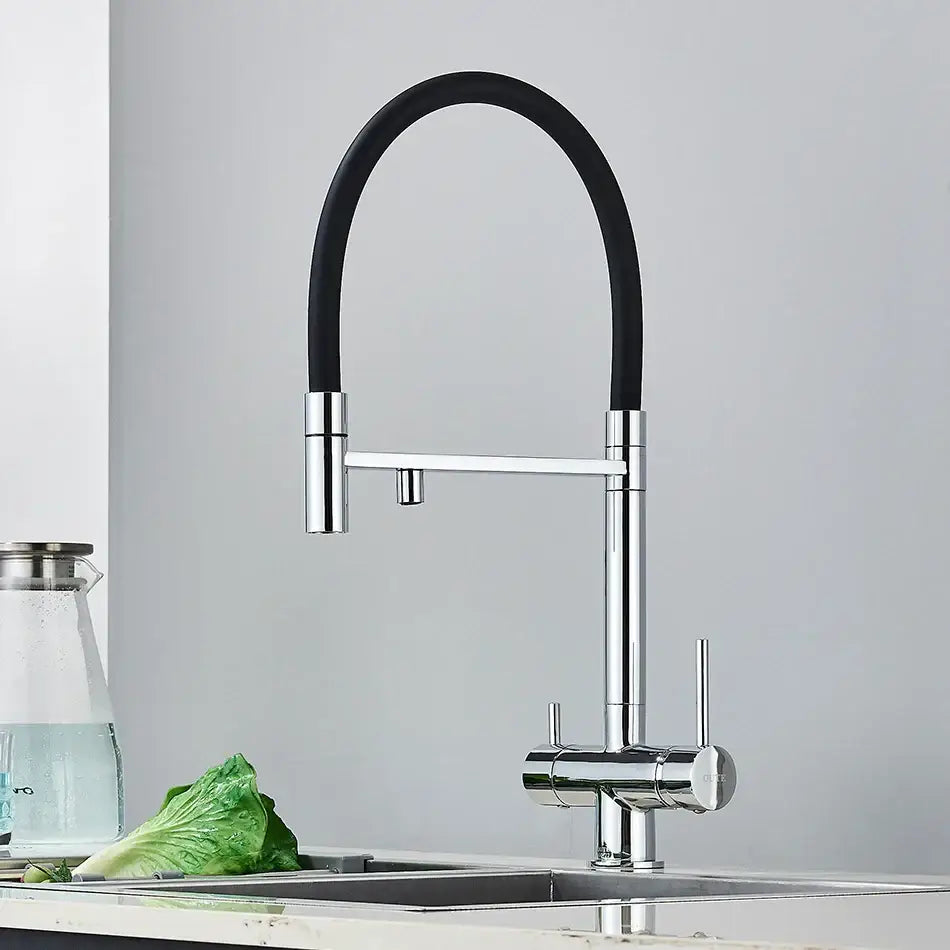 Chrome Black Dual Faucet