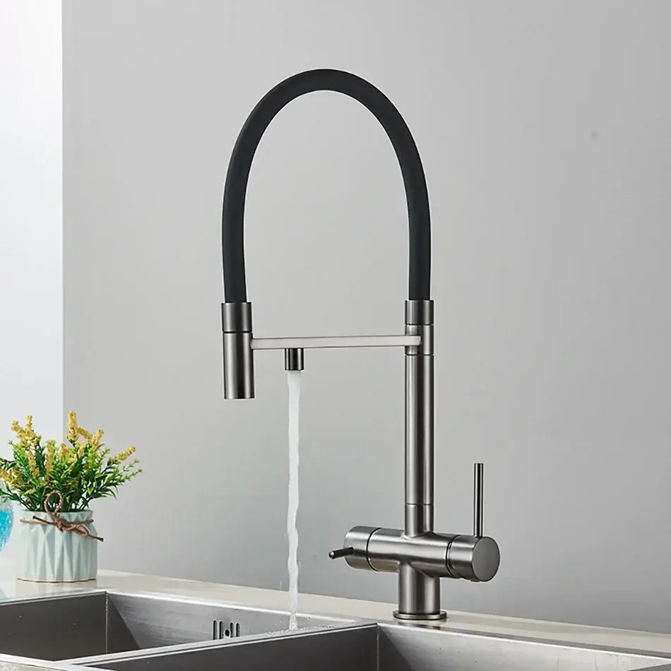 Chrome Black Dual Faucet