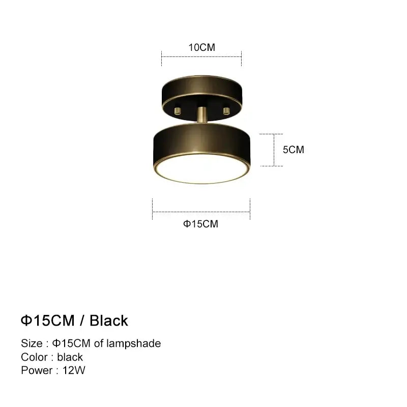 Brass LED Ceiling Chandelier