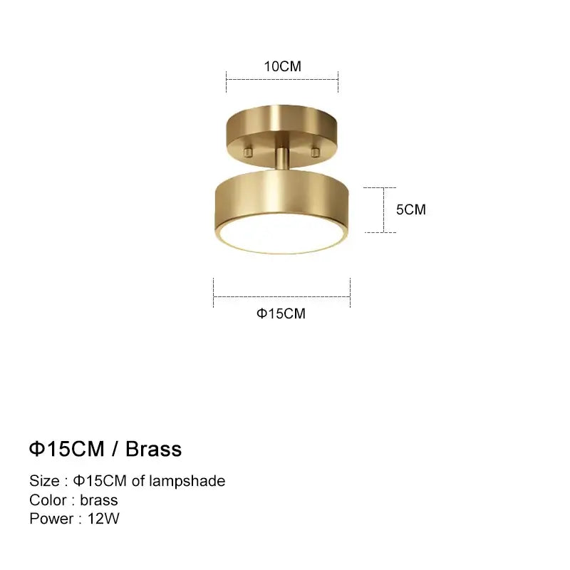 Brass LED Ceiling Chandelier