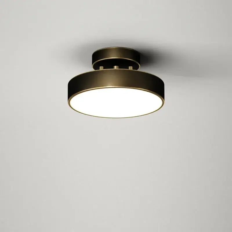 Brass LED Ceiling Chandelier