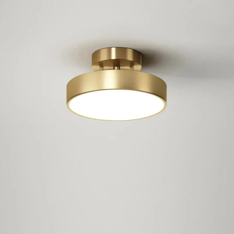 Brass LED Ceiling Chandelier