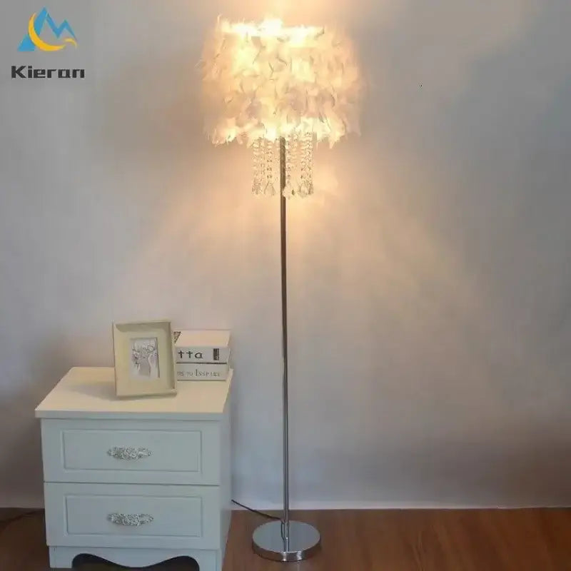 Peach Feather Floor Lamp