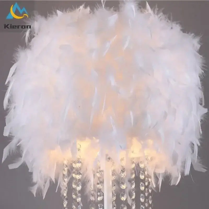 Peach Feather Floor Lamp