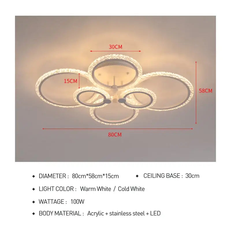 Acrylic Ring Ceiling Light
