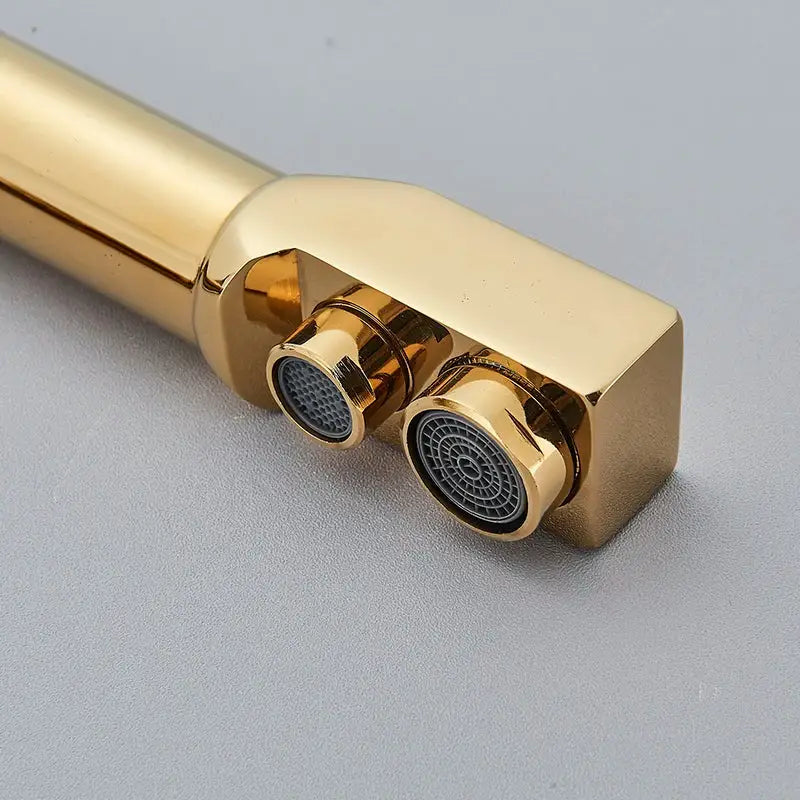 Gold Dual Outlet Kitchen Faucet