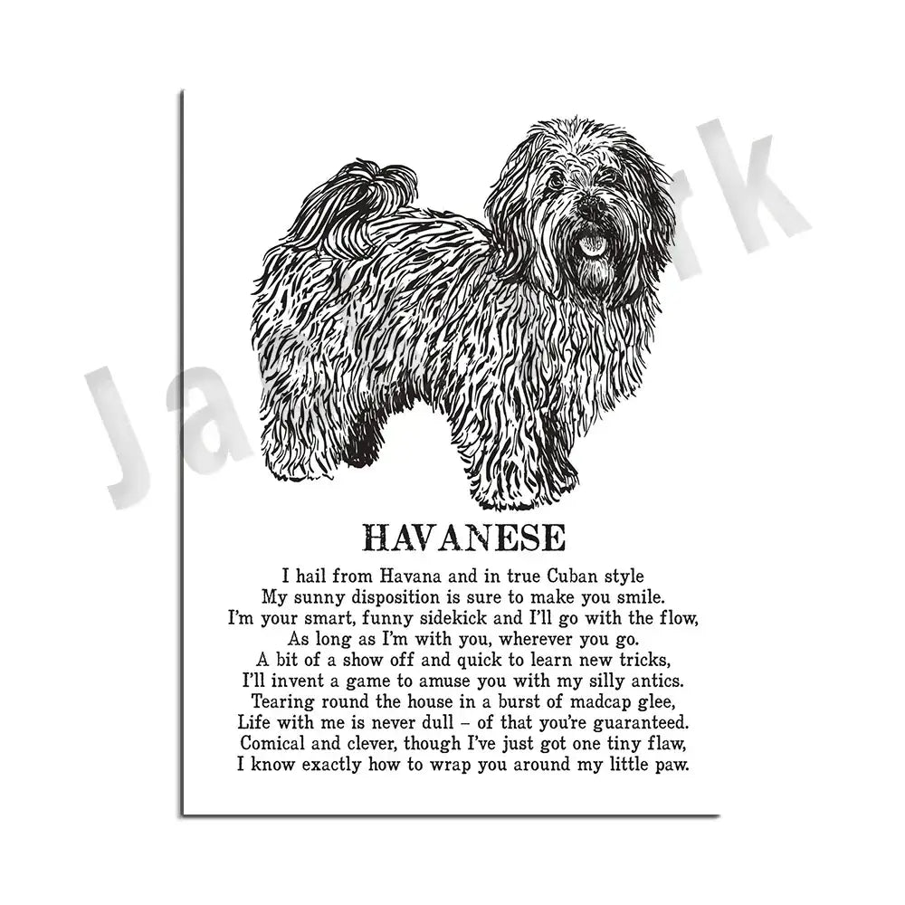 Black White Dog Poster Set