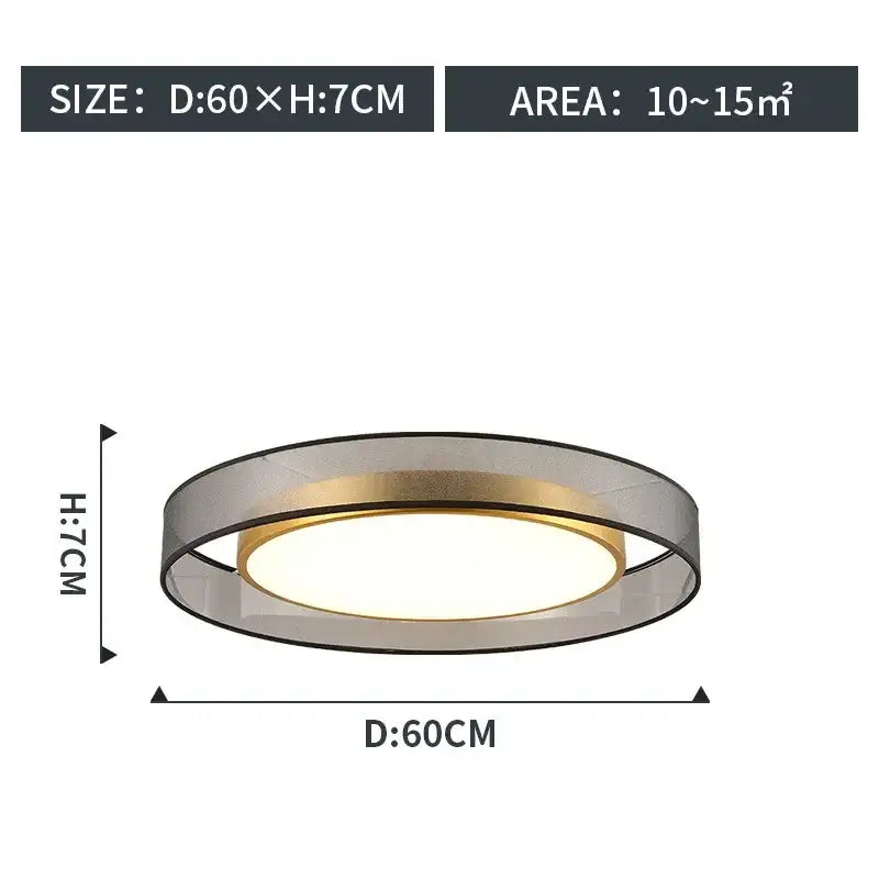 Gold Transparent Frame Ceiling Light