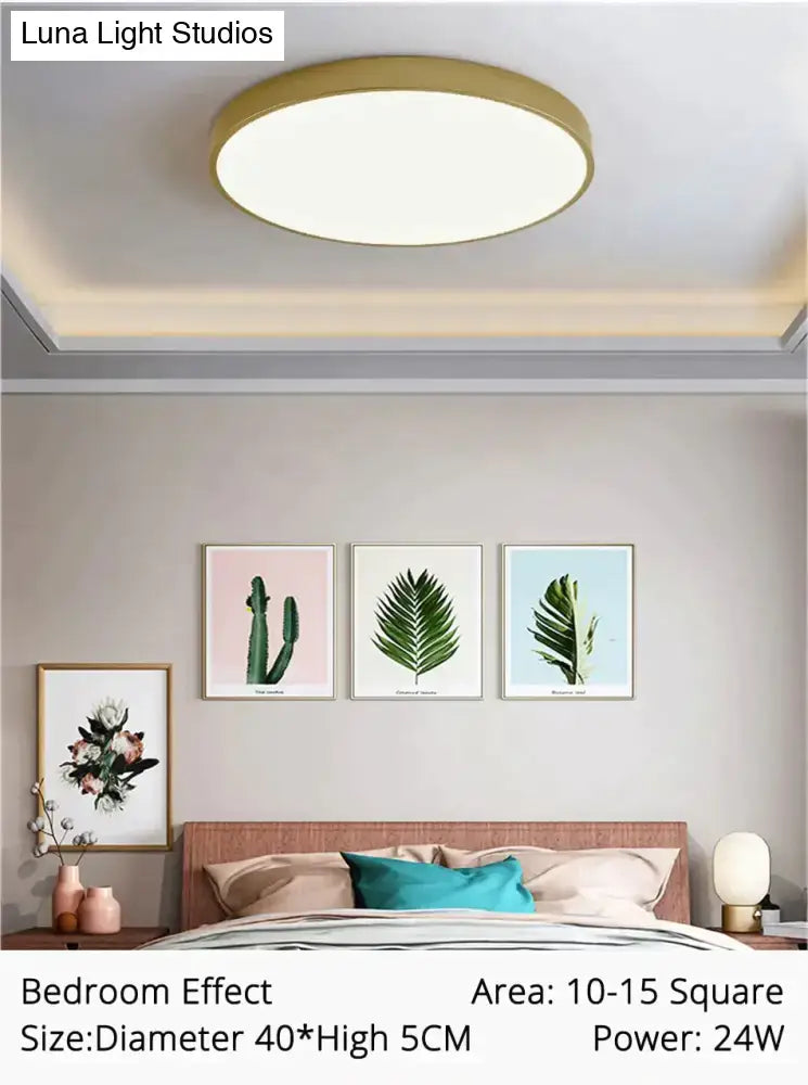 Gold Surface Ceiling Lamp