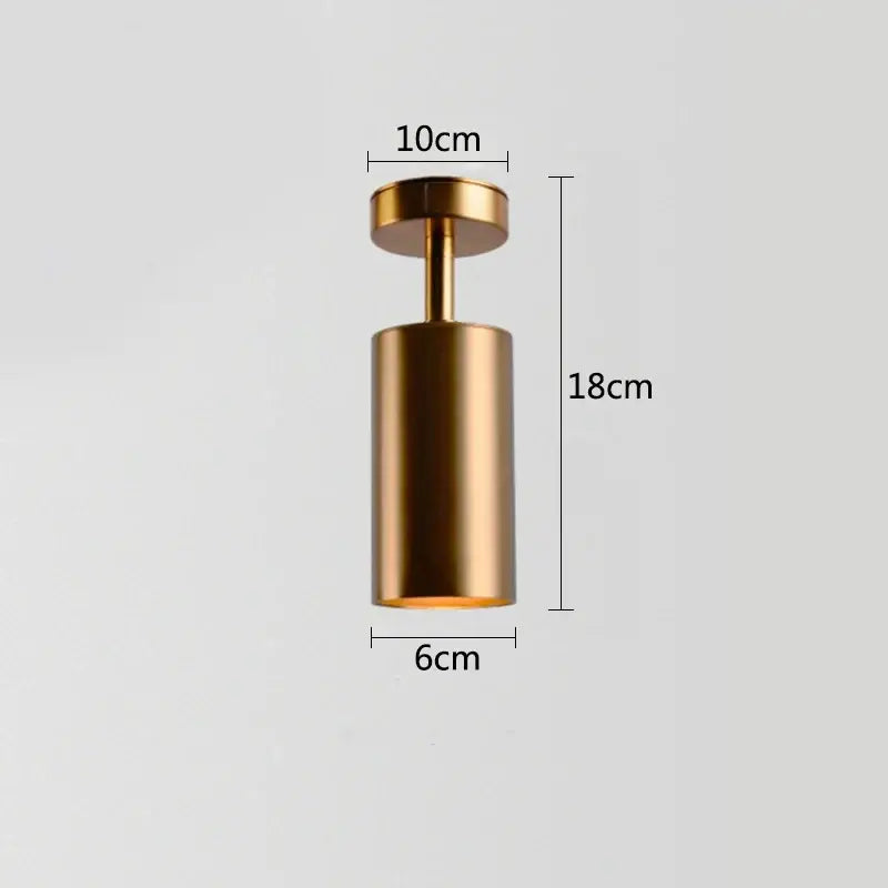 Gold Rotating Pendant Light