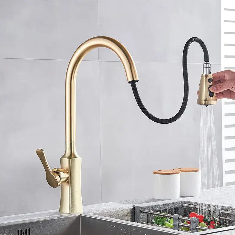 Gold Kitchen Faucet Sprayer