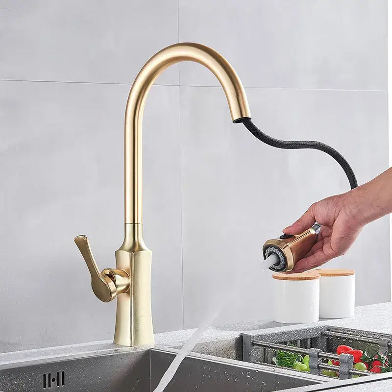 Gold Kitchen Faucet Sprayer