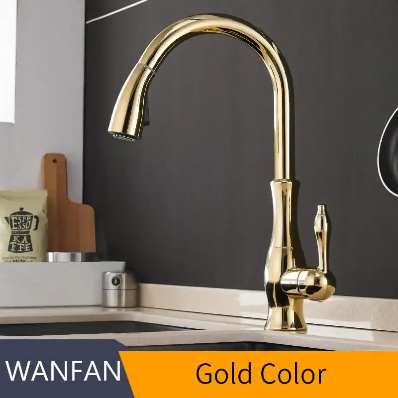 Gold Pull Out Kitchen Faucet