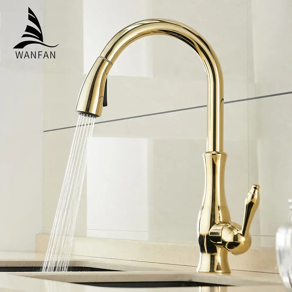 Gold Pull Out Kitchen Faucet