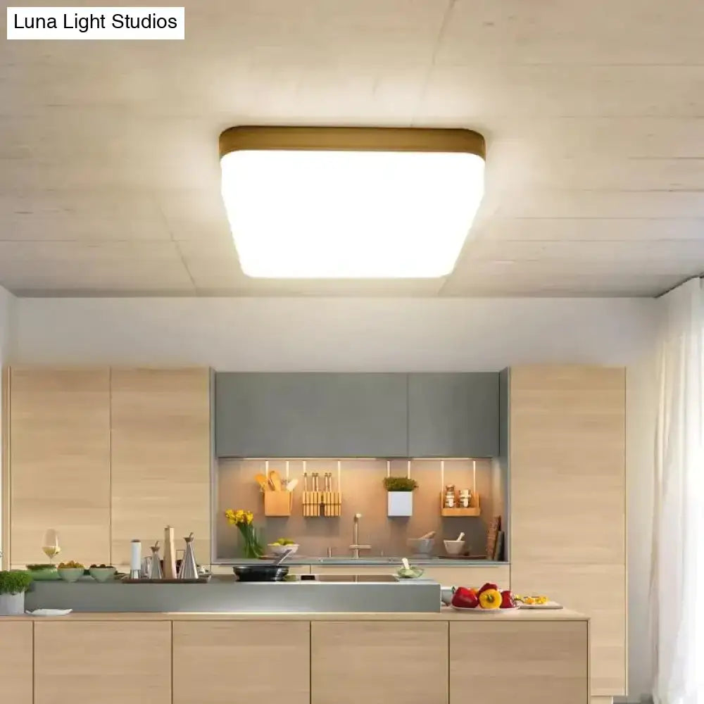 Gold Surface LED Ceiling Light