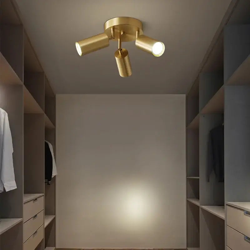 Brass Adjustable Ceiling Light