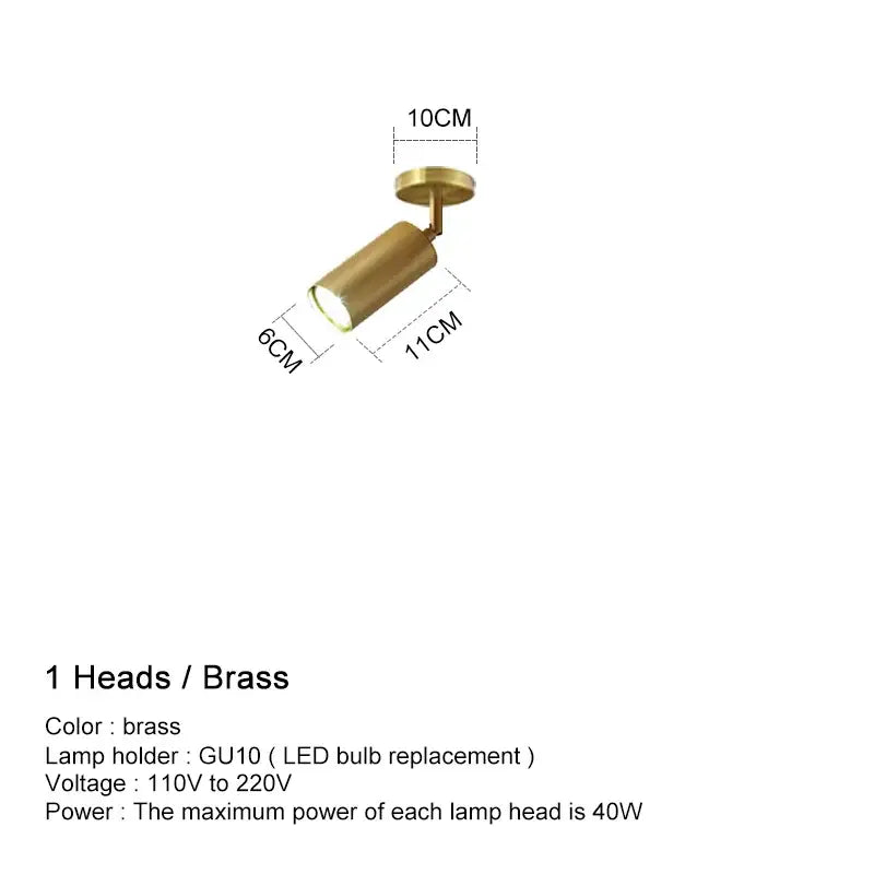 Brass Adjustable Ceiling Light