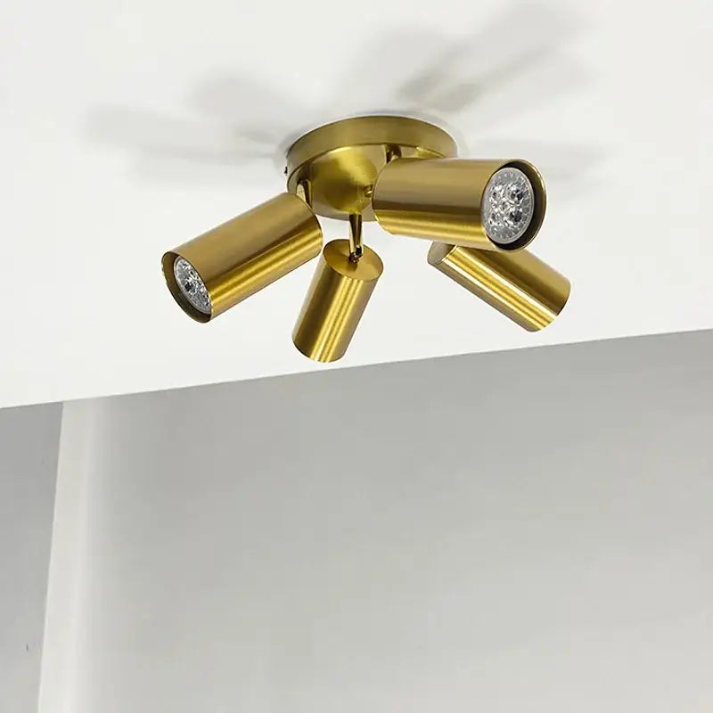 Brass Adjustable Ceiling Light
