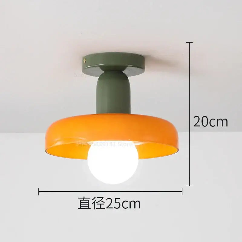 Colorful Glass Pendant Lights