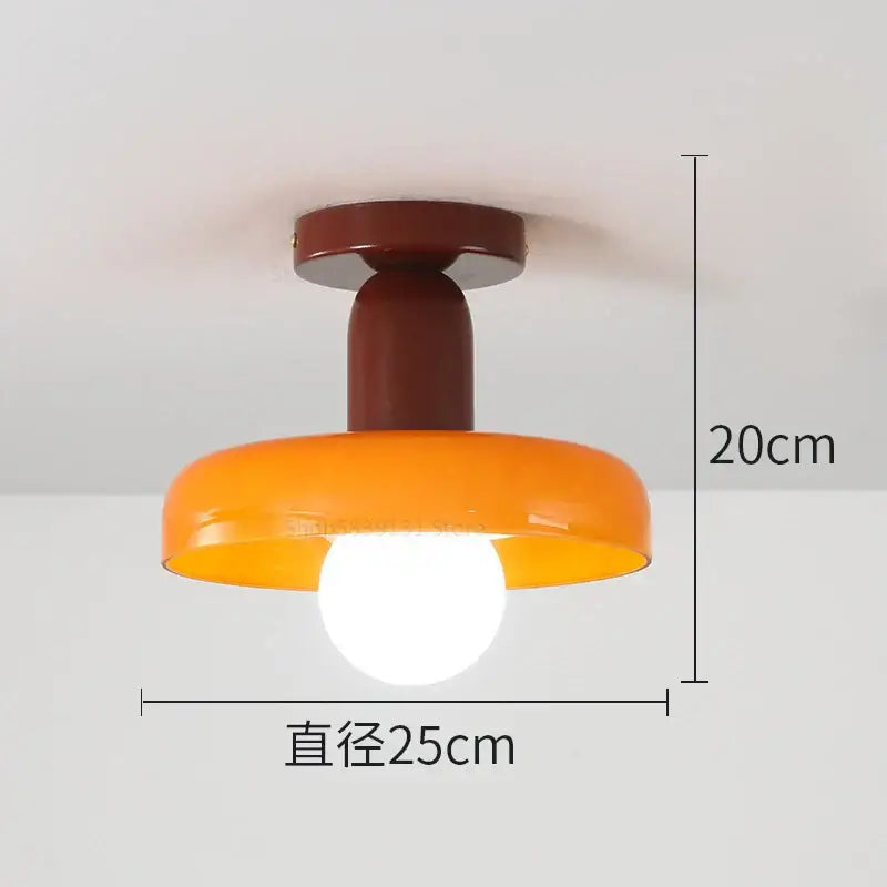 Colorful Glass Pendant Lights