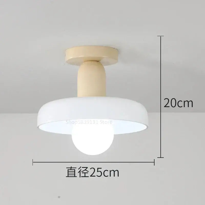 Colorful Glass Pendant Lights