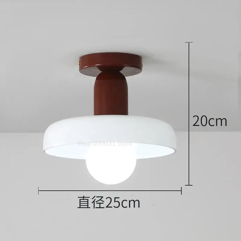 Colorful Glass Pendant Lights