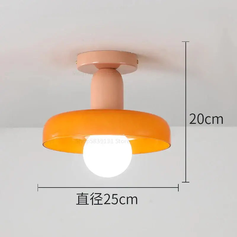 Colorful Glass Pendant Lights