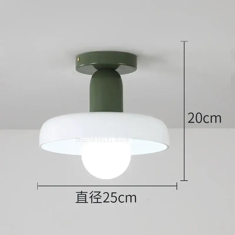 Colorful Glass Pendant Lights