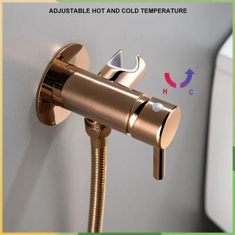 Grey Brass Bidet Mixer