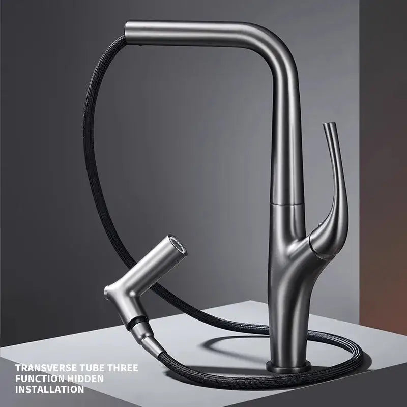 Black 3-Way Kitchen Faucet