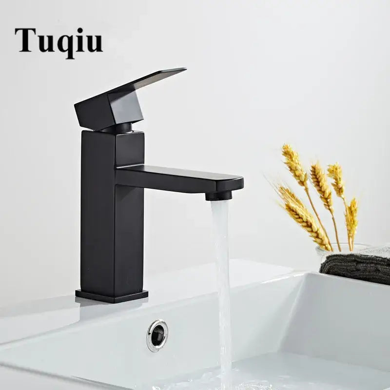Black Stainless Basin Faucet