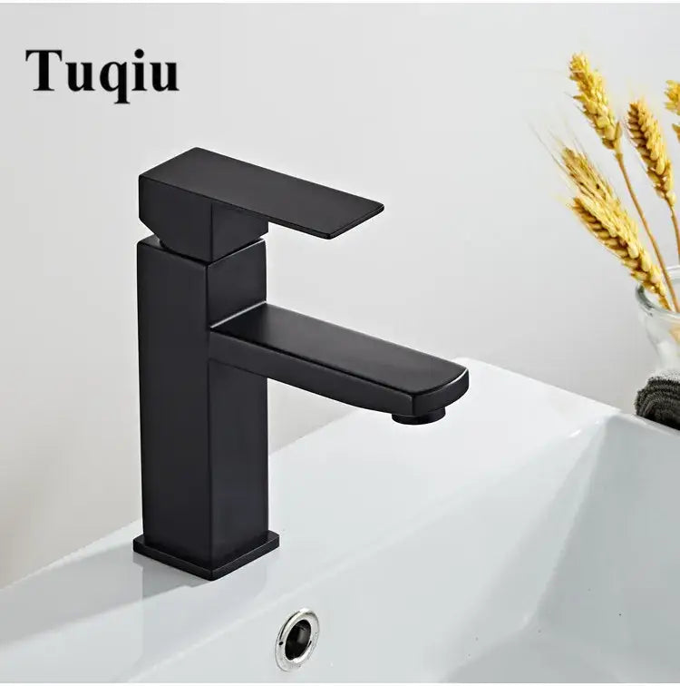 Black Stainless Basin Faucet