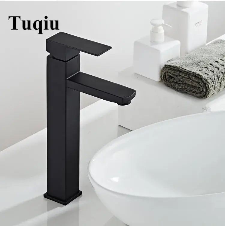 Black Stainless Basin Faucet