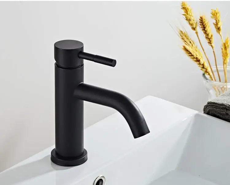Black Stainless Basin Faucet