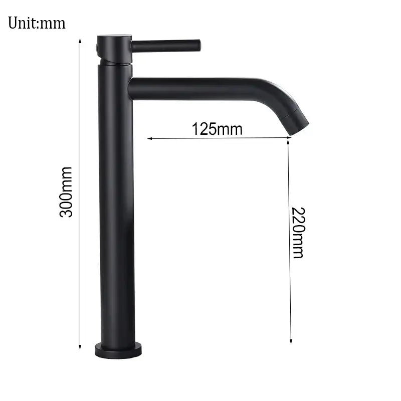 Matte Black Lever Faucet